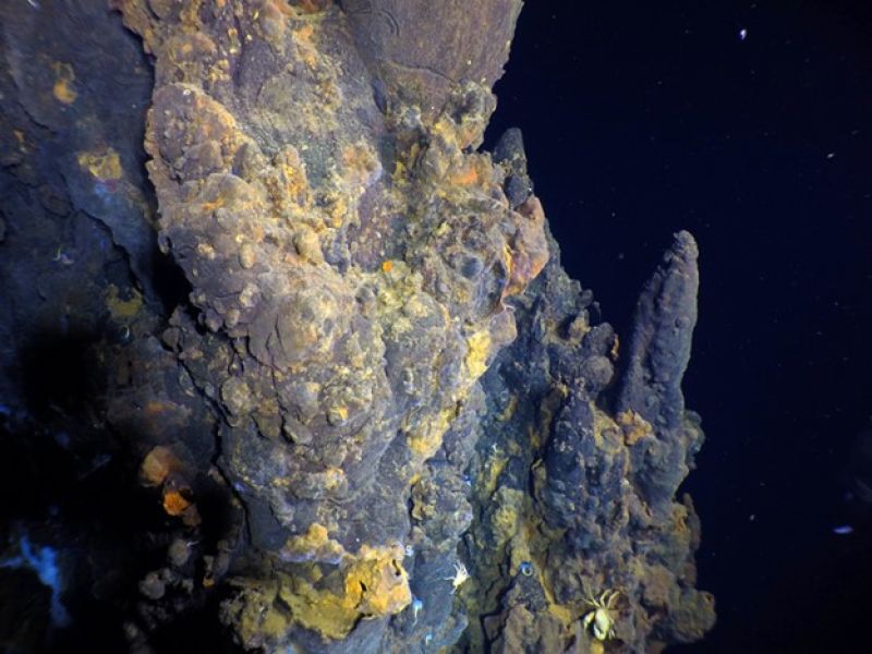 First known off-axis, high-temperature deep sea hydrothermal vents